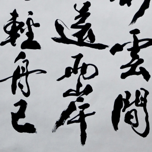 书法(5)