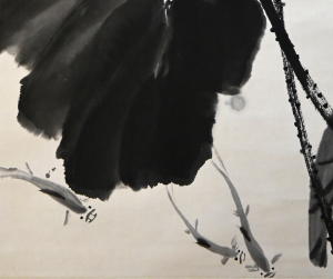 荷花(5)