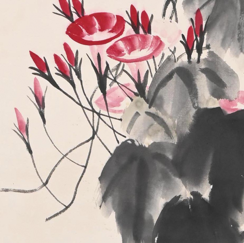 牵牛花(3)