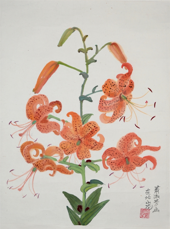 东北山花(1)