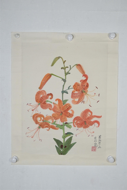 东北山花(5)
