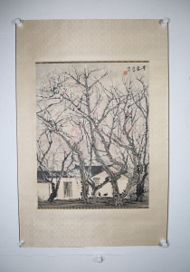 早春(6)