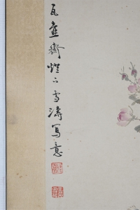 月季白头(2)