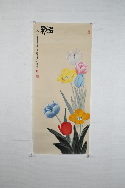 多彩(6)