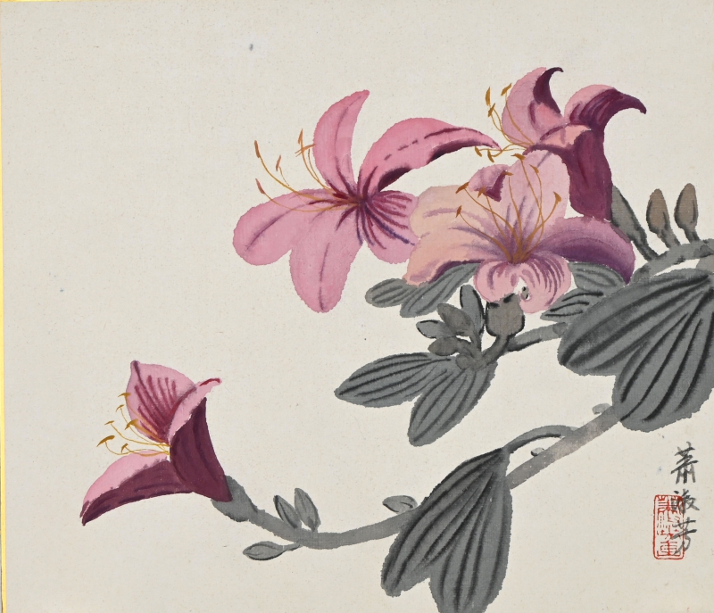花卉(1)