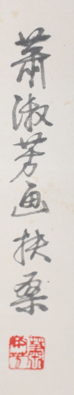 扶桑花 (1)