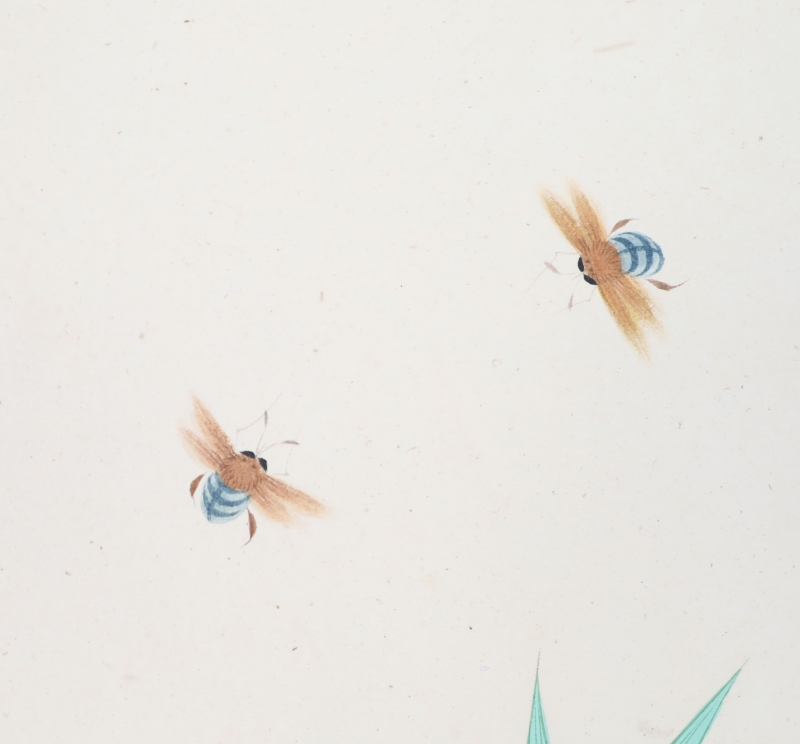 蒸蒸日上(4)