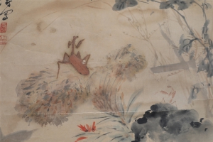 花卉螳螂(3)