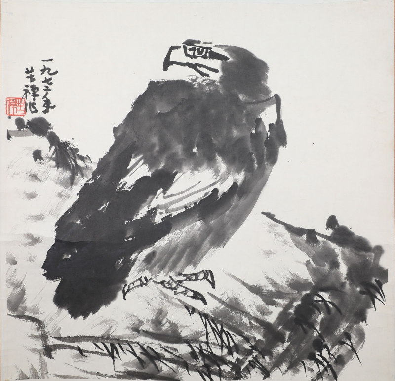 鹰(1)