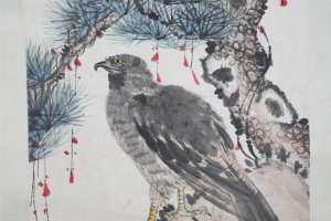 鹰(3)