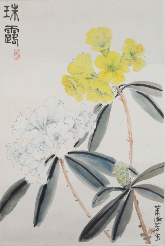 珠露(1)