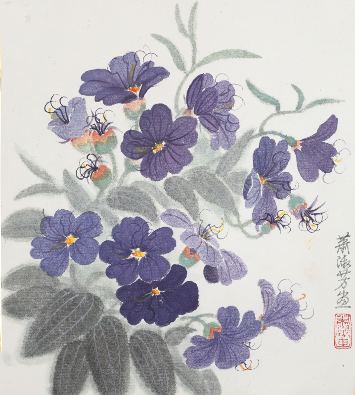 花卉(1)
