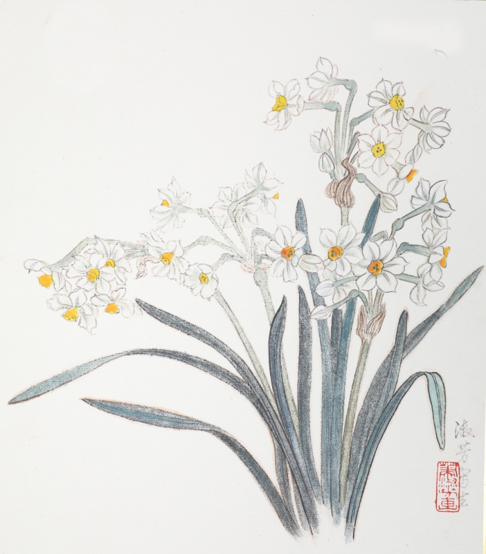 花卉(1)