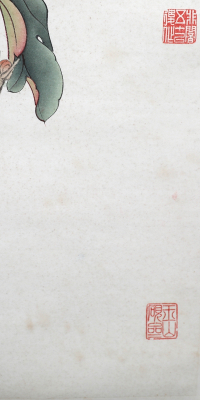 花开富贵(6)