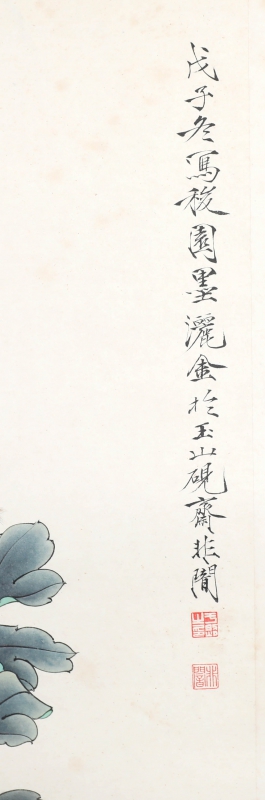 灵芝花卉(2)