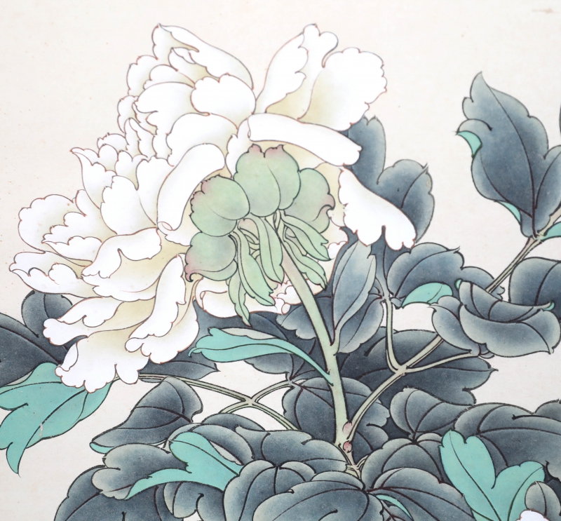 灵芝花卉(4)