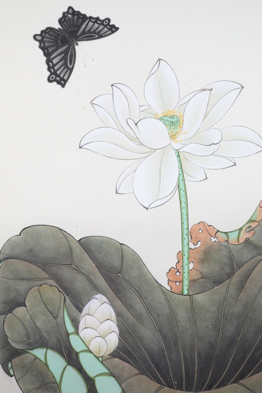 荷花(3)