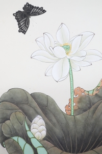 荷花(3)