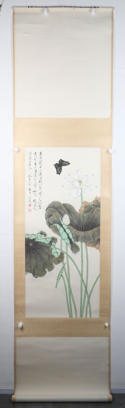荷花(6)