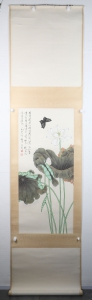 荷花(6)