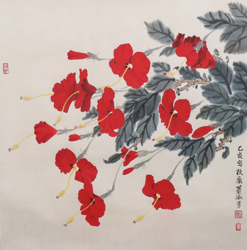 扶桑花(1)