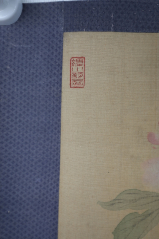 花卉(3)