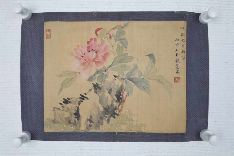 花卉(6)