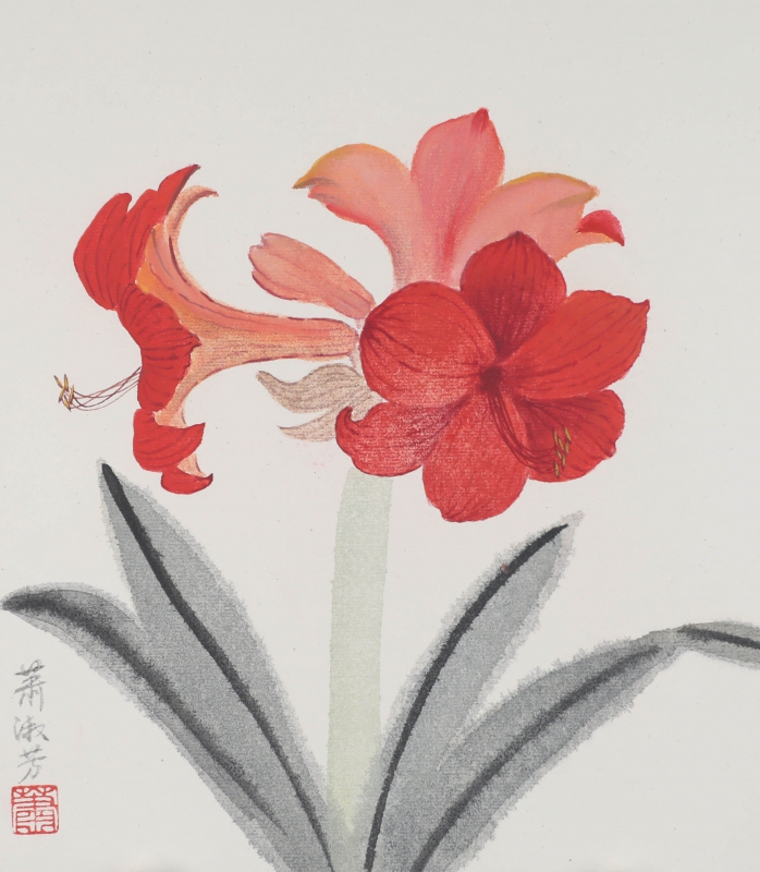 花卉(1)