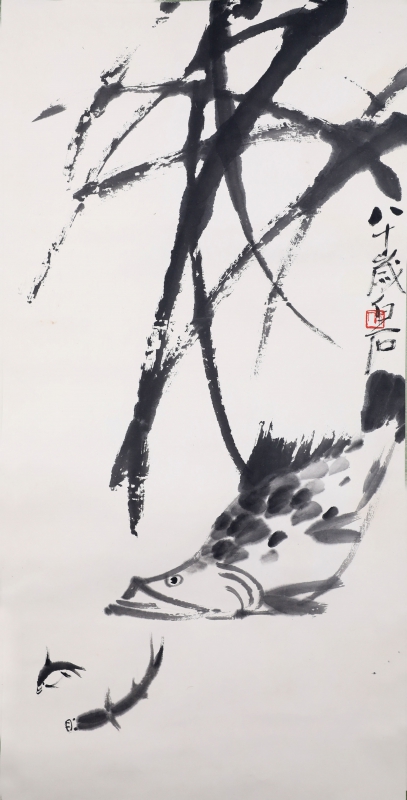 鱼(1)