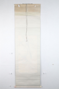 鱼(6)