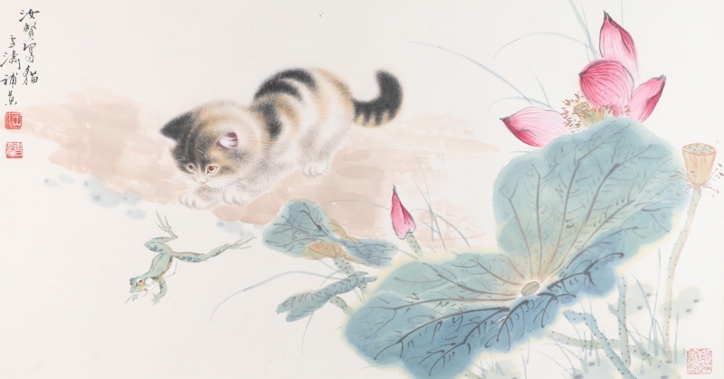 猫趣图(1)
