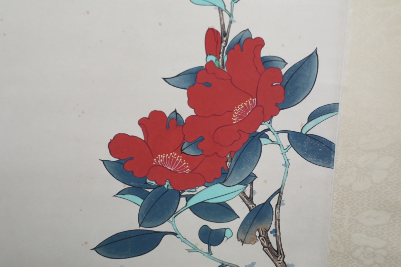 山茶花(4)