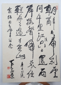 (5)