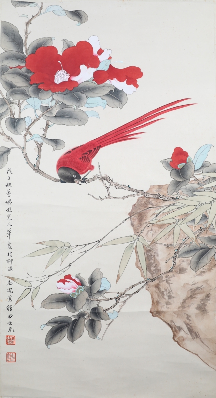 绶带鸟(1)