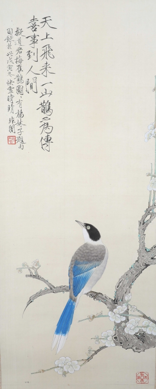 喜鹊(1)