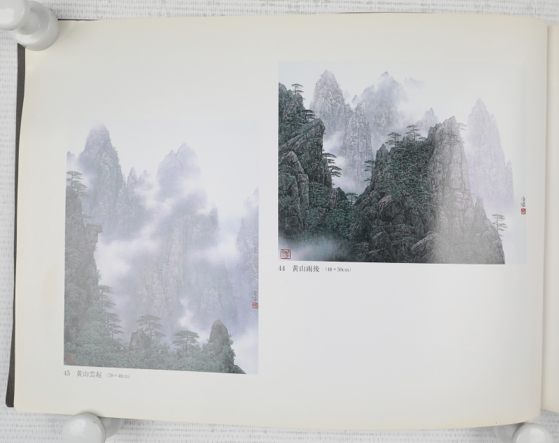 黄山雨后(9)