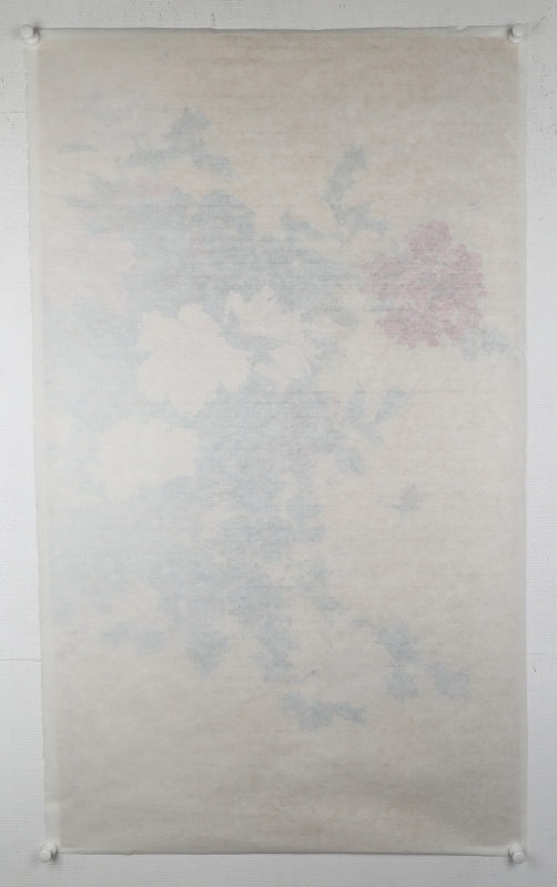 牡丹(5)