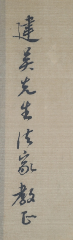 雏鸡图(3)