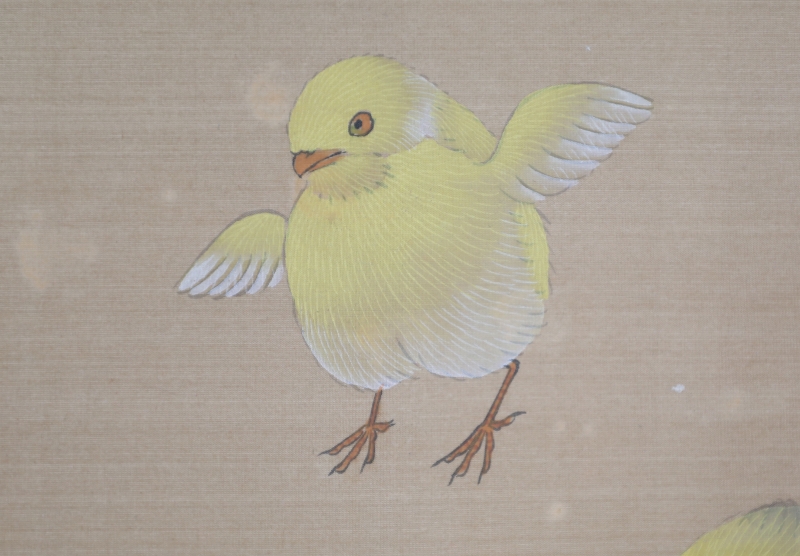 雏鸡图(4)