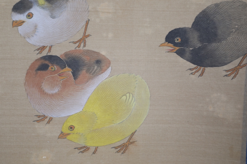 雏鸡图(5)