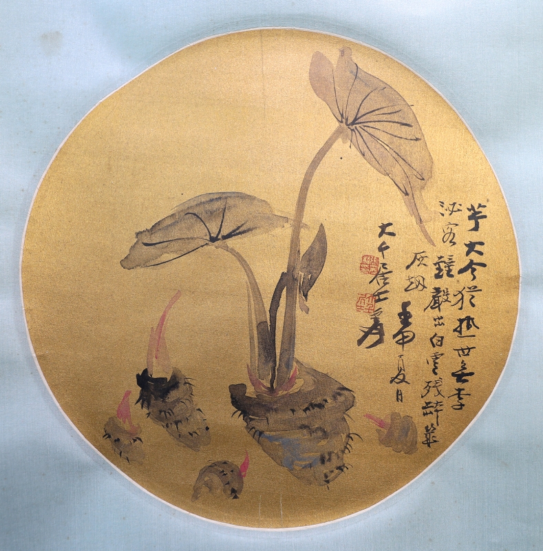 芋叶(1)