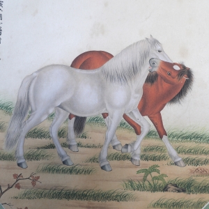 双骏(3)