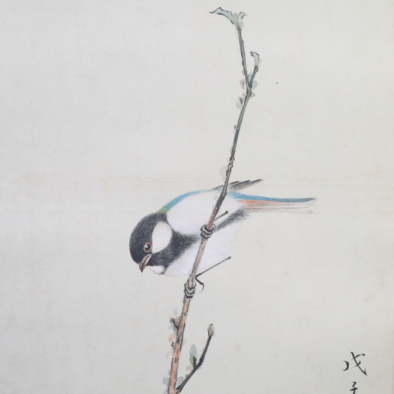 拟宋人意花鸟(3)