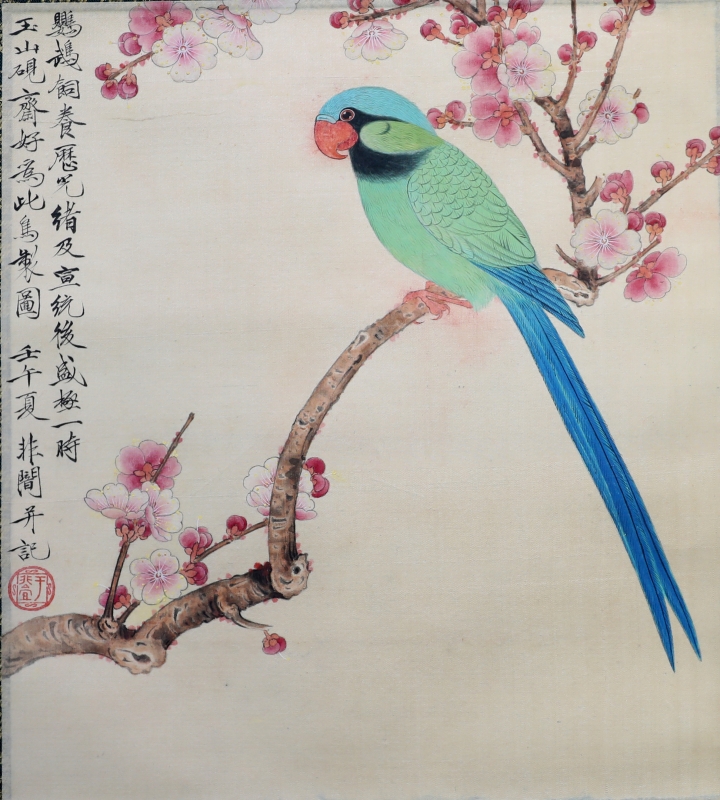 鹦鹉(1)