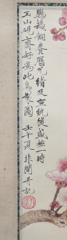 鹦鹉(2)