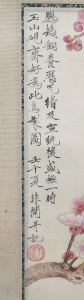 鹦鹉(2)