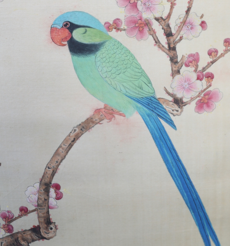 鹦鹉(3)