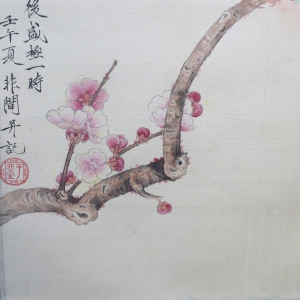 鹦鹉(4)