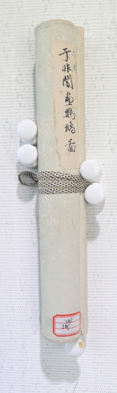 鹦鹉(6)