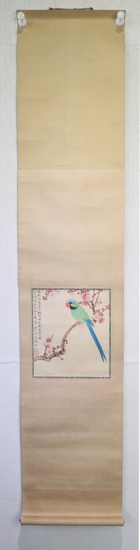 鹦鹉(7)
